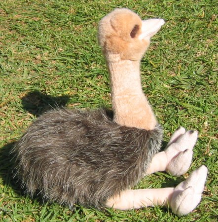 emu soft toy