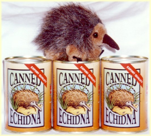 A perfect gag gift for Christmas - canned echidna toy