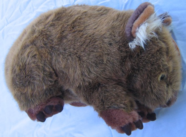 wombat picture 3
