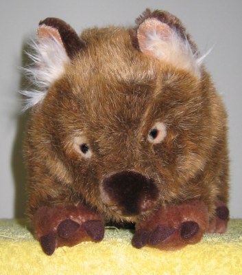 wombat picture 2