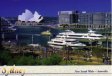 Sydney harbor post card