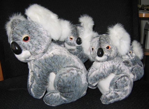 koala stuffies