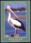 Pelican magnet
