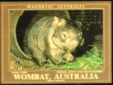 Wombat fridge magnet