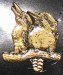 Laughing kookaburra brass pin