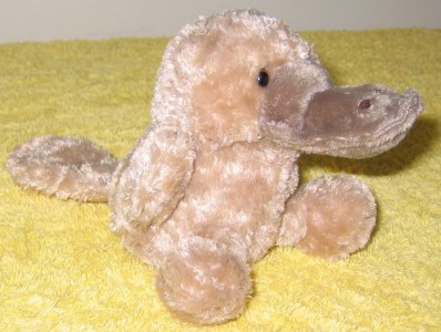 Platypus soft toy