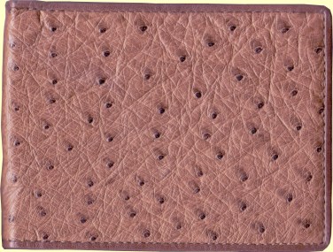 full quill ostrich leather credit card wallet for man shown in kango color