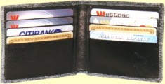 Shark skin wallet inside view