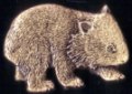 Wombat brass pin