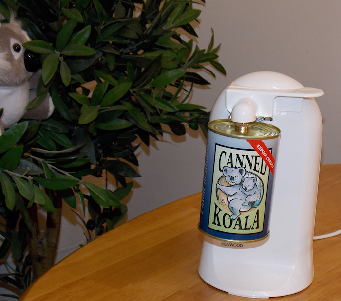 canned koala for dinner - episod 6
